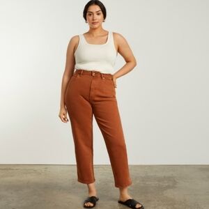 Everlane The Curvy 90's Cheeky Way High Jean Size 33 Crop NWT